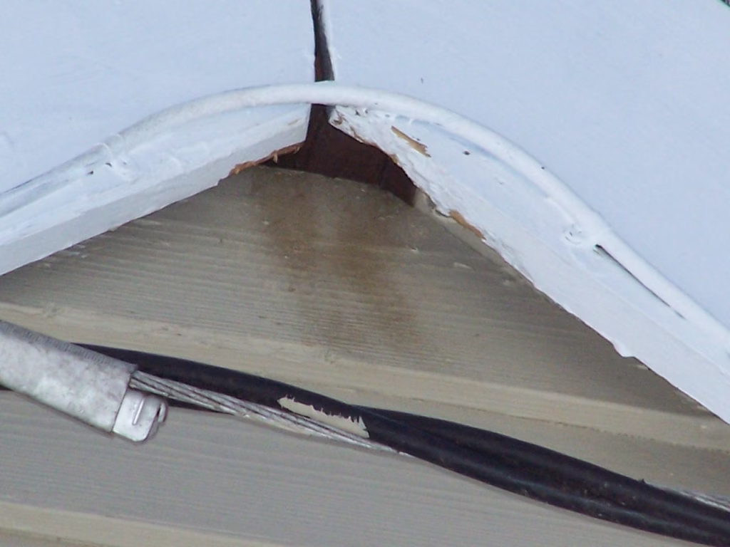 bat entry point on a home in Waterford CT