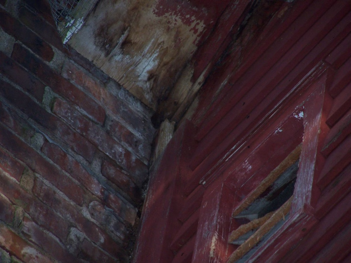 Wildlife Impact On Home’s Value: What You Should Know