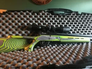 Airgun pest control in Connecticut