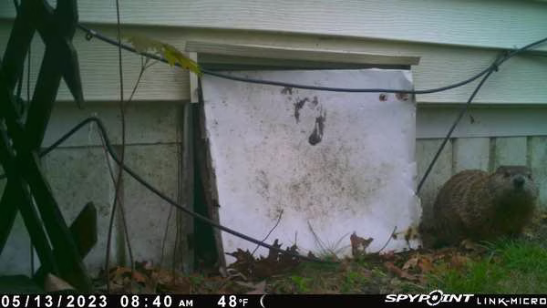 PICT0014 202305131240qPg64