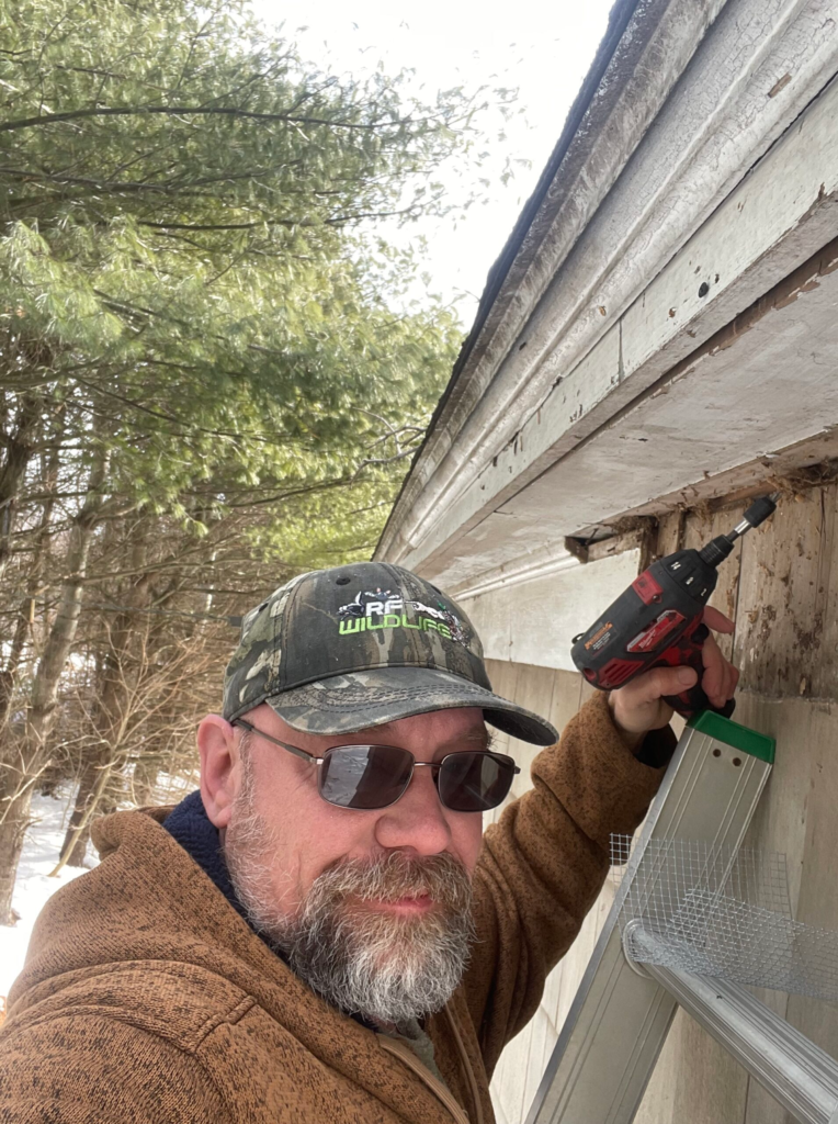 Westbrook CT Bat and flying squirrel exclusion 2026 RF Wildlife 860-510-6313.