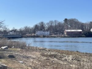 Branford CT wildlife removal job - attic entry point and exclusion work by RF Wildlife