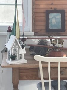 Squirrel caught in live trap in Old Saybrook CT - RF Wildlife