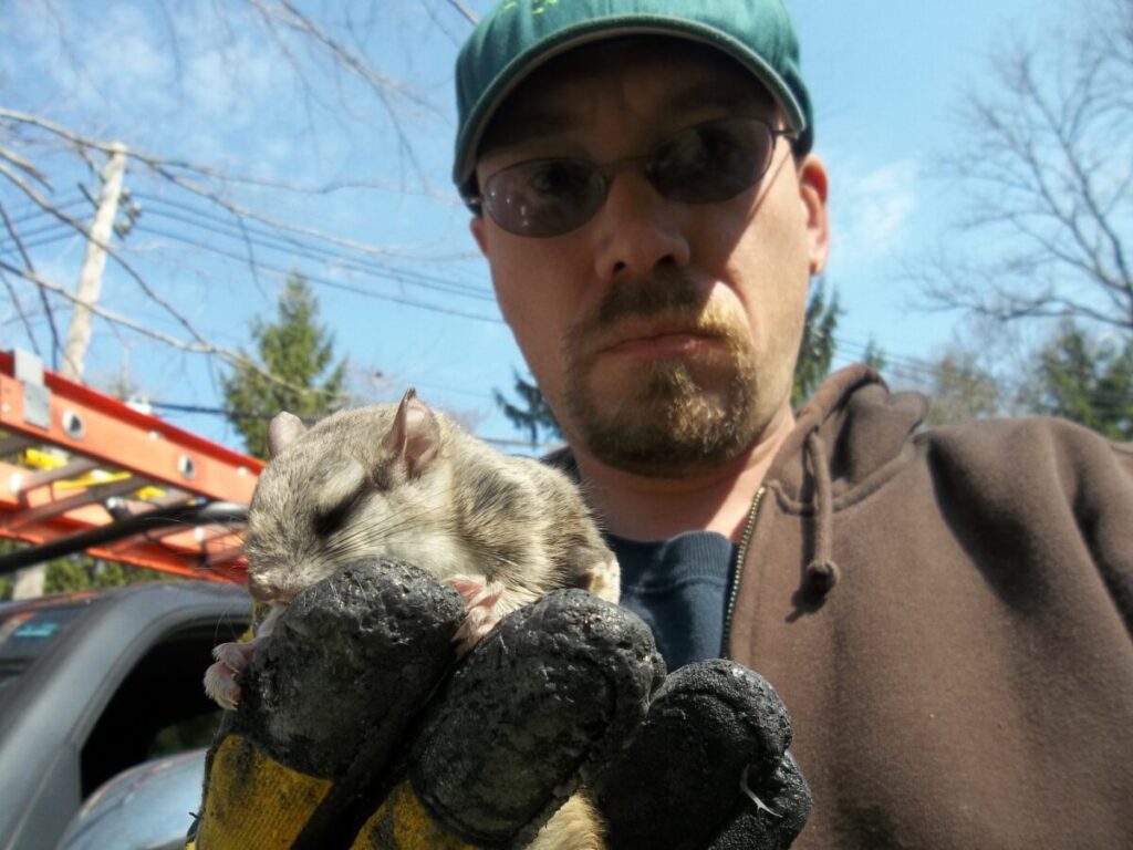 Rich RF Wildlife 860 510 6310 holding a flying squirrel from Clinton CT
