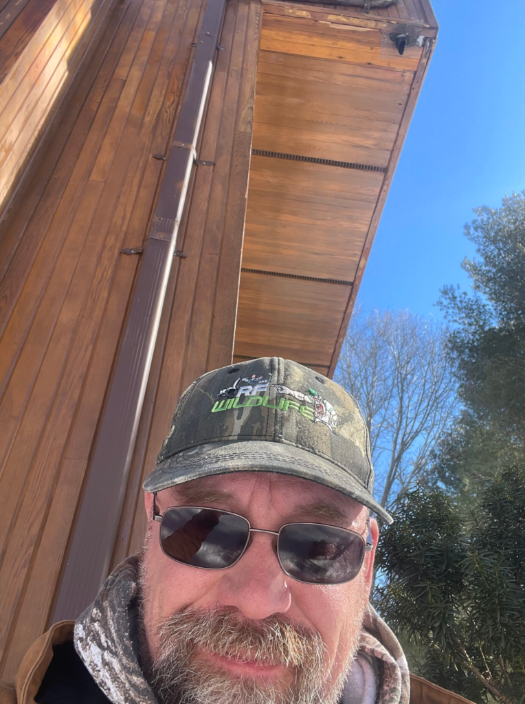 Rich from RF Wildlife inspecting a failed gray squirrel exclusion in Madison CT.