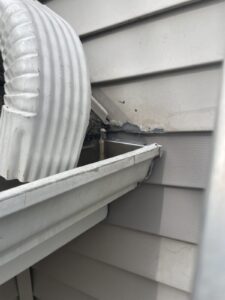 Repaired squirrel damage on Guilford CT home after removal and exclusion